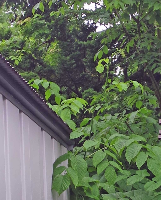 f:id:atarou:20180704065657j:image
