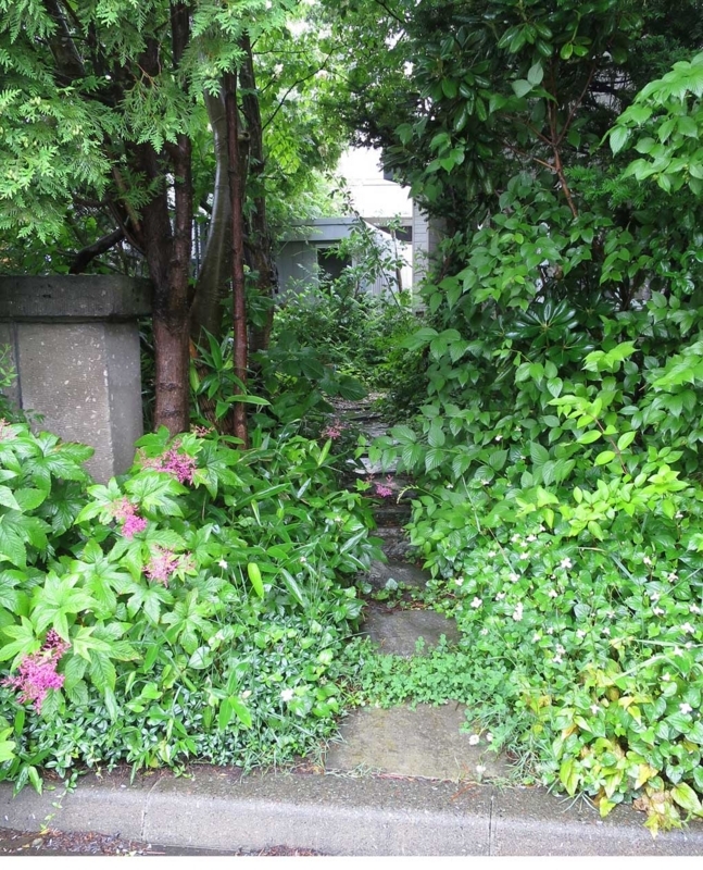 f:id:atarou:20180706065146j:image