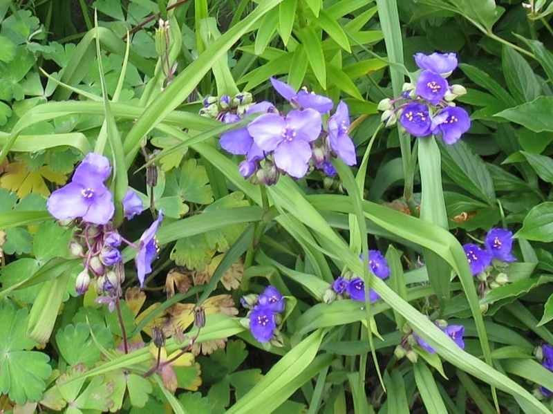 f:id:atarou:20180708071521j:image