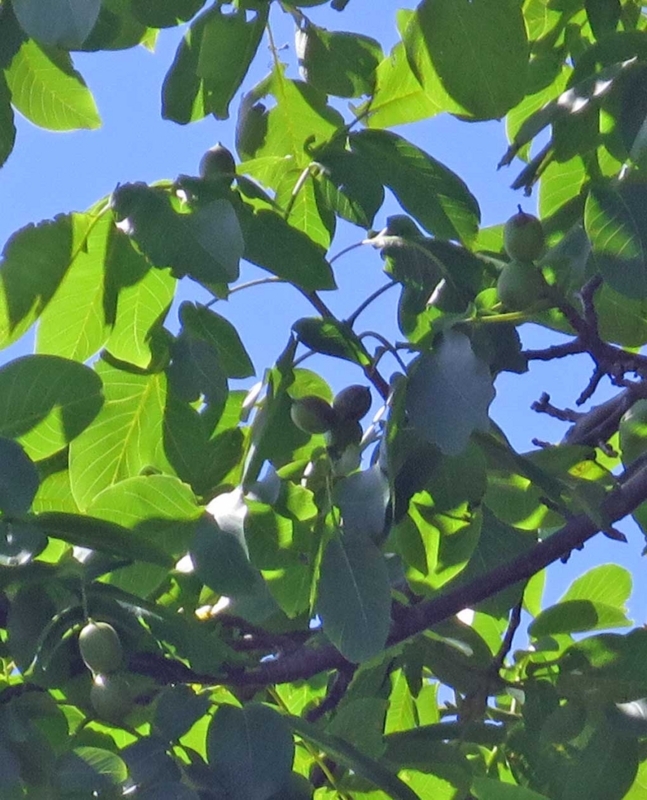f:id:atarou:20180709065047j:image f:id:atarou:20180709065047j:image