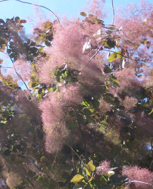 f:id:atarou:20180709065830j:image f:id:atarou:20180709065830j:image