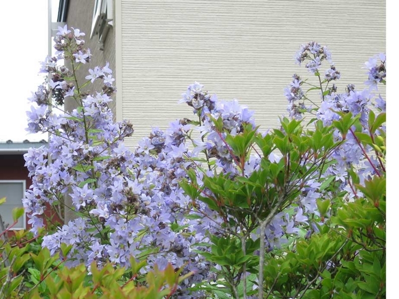 f:id:atarou:20180710071359j:image f:id:atarou:20180710071359j:image