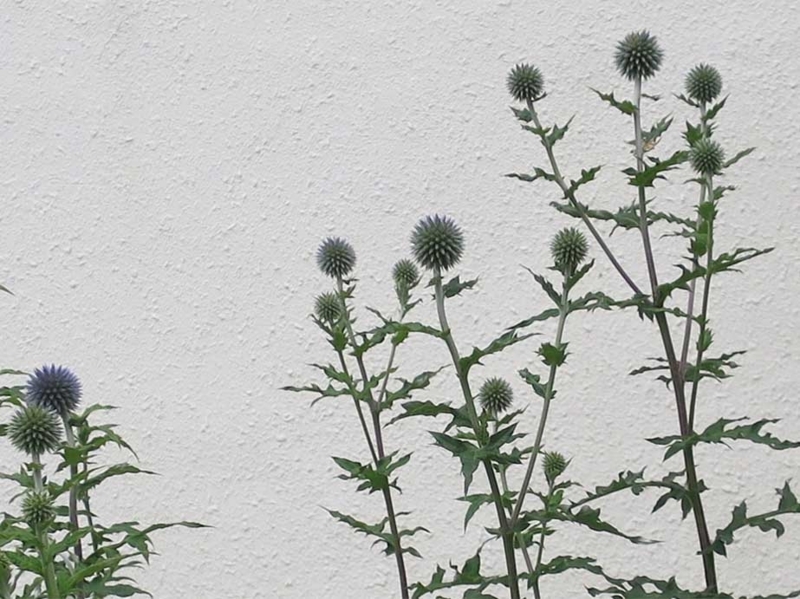 f:id:atarou:20180722064258j:image
