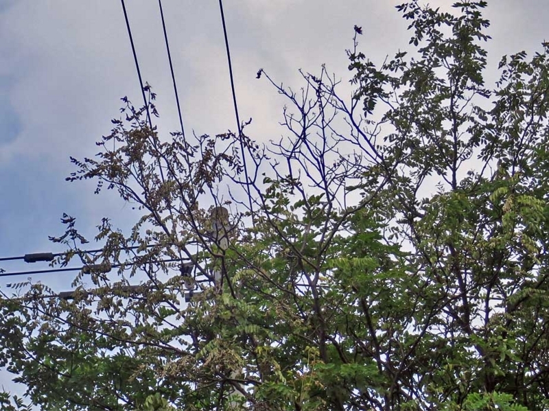 f:id:atarou:20180722070824j:image