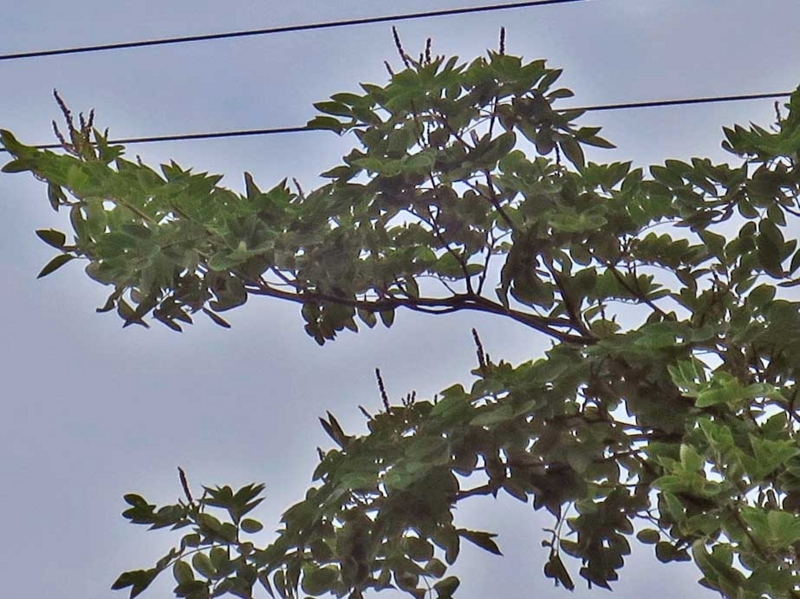 f:id:atarou:20180722070827j:image