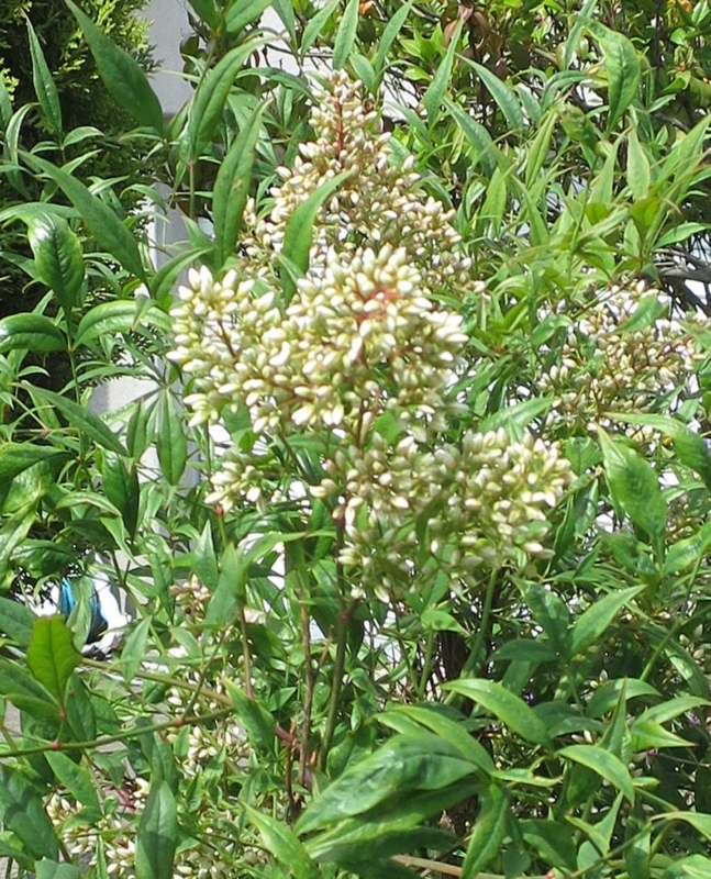 f:id:atarou:20180723064538j:image