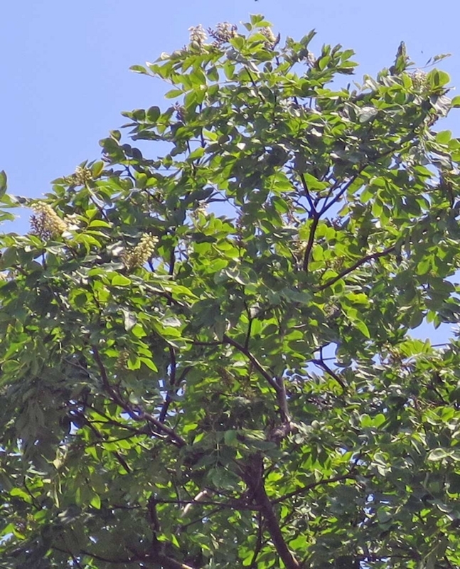 f:id:atarou:20180726065027j:image