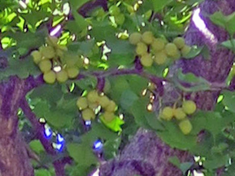 f:id:atarou:20180727065617j:image