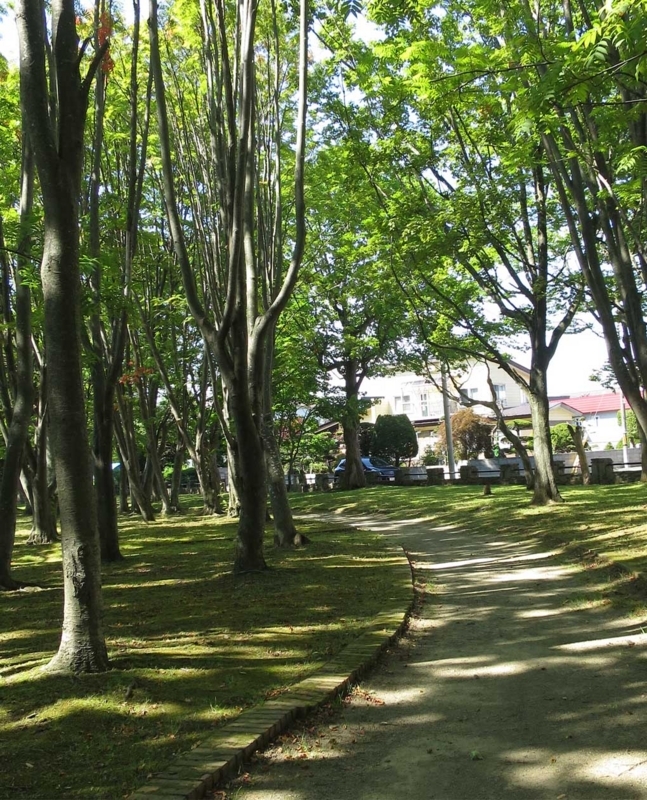 f:id:atarou:20180728070031j:image