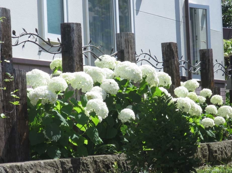 f:id:atarou:20180731070340j:image