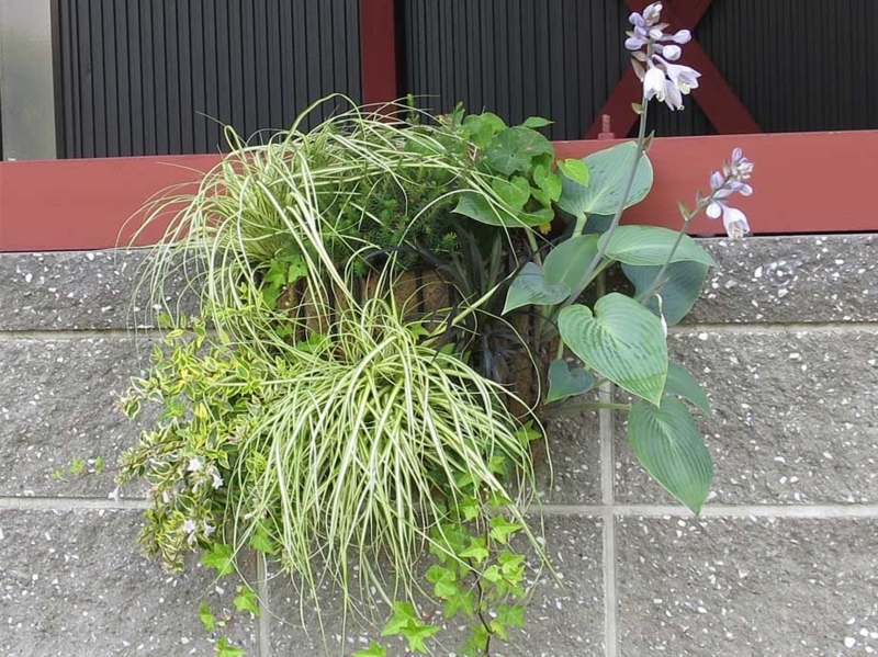 f:id:atarou:20180731070753j:image