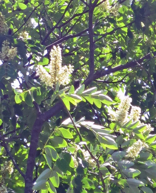 f:id:atarou:20180802071916j:image