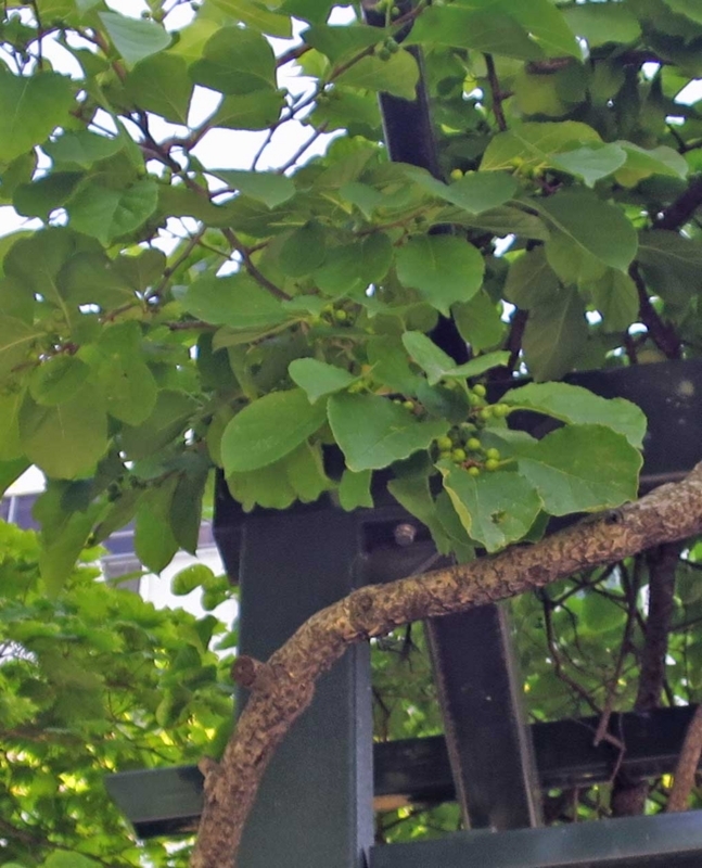 f:id:atarou:20180803065150j:image