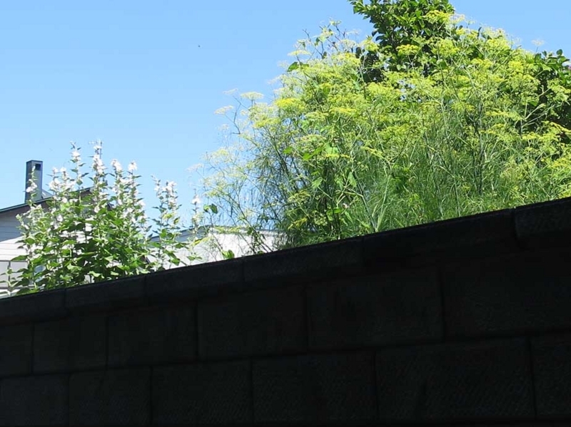 f:id:atarou:20180807064856j:image
