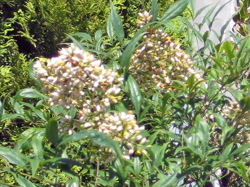 f:id:atarou:20180808064452j:image f:id:atarou:20180808064452j:image