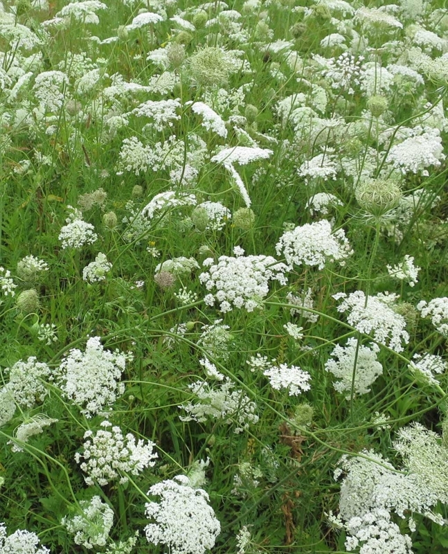 f:id:atarou:20180812064540j:image f:id:atarou:20180812064540j:image