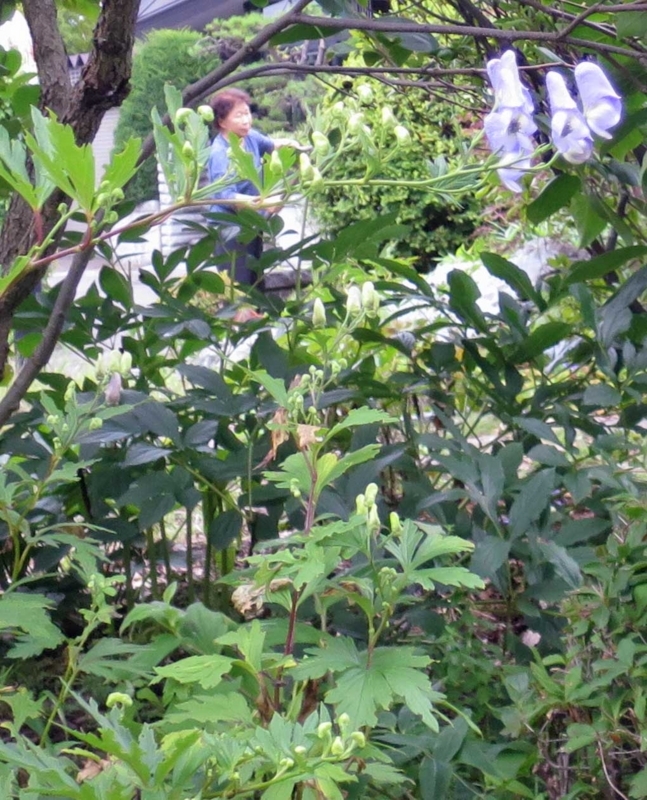 f:id:atarou:20180812065516j:image f:id:atarou:20180812065516j:image