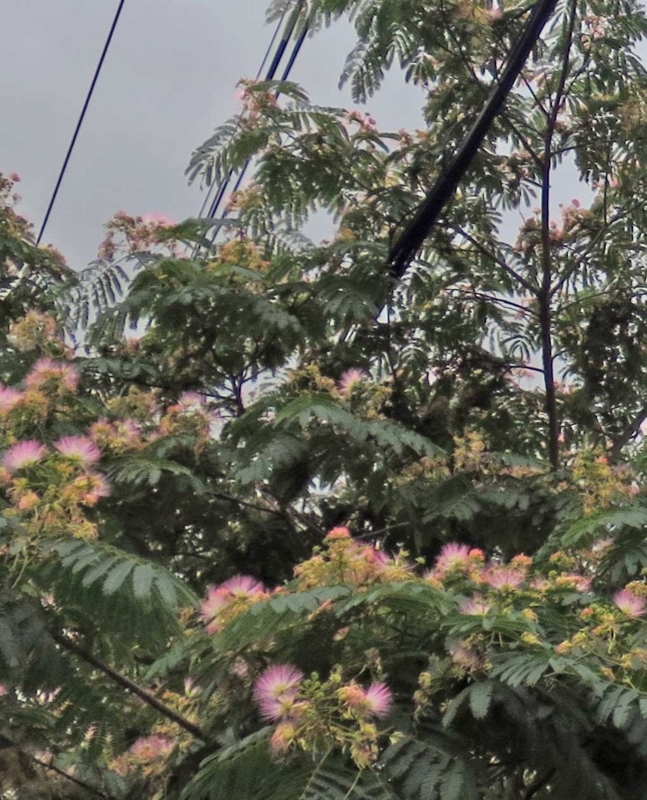 f:id:atarou:20180813064754j:image