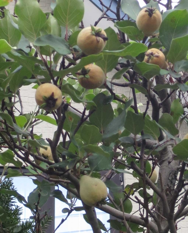 f:id:atarou:20180820064607j:image