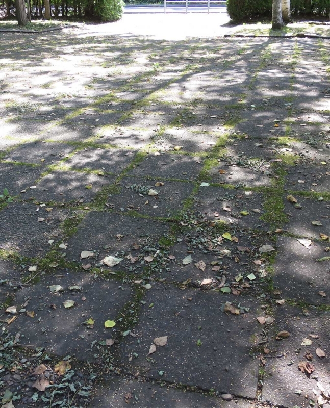 f:id:atarou:20180821065529j:image f:id:atarou:20180821065529j:image