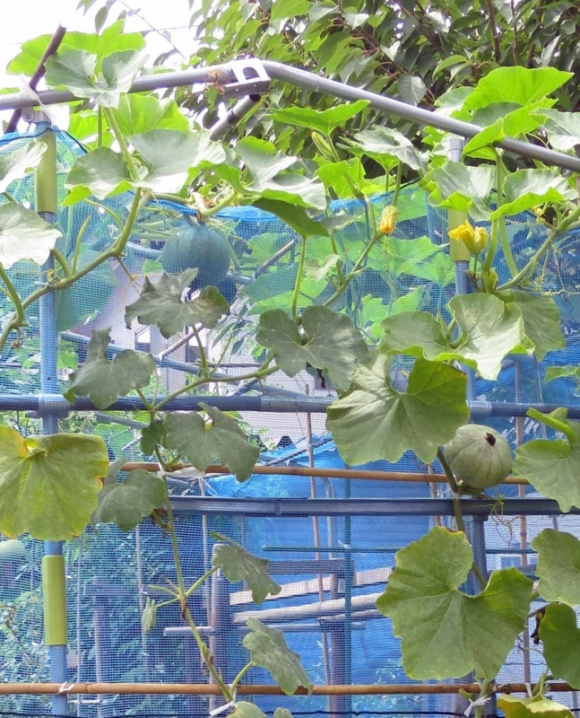 f:id:atarou:20180821070610j:image f:id:atarou:20180821070610j:image