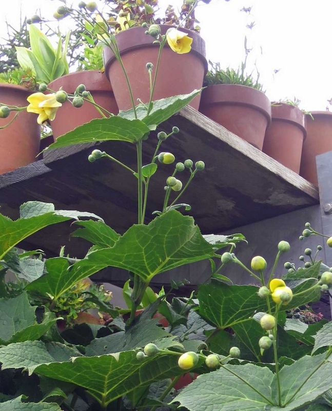 f:id:atarou:20180823063544j:image f:id:atarou:20180823063544j:image