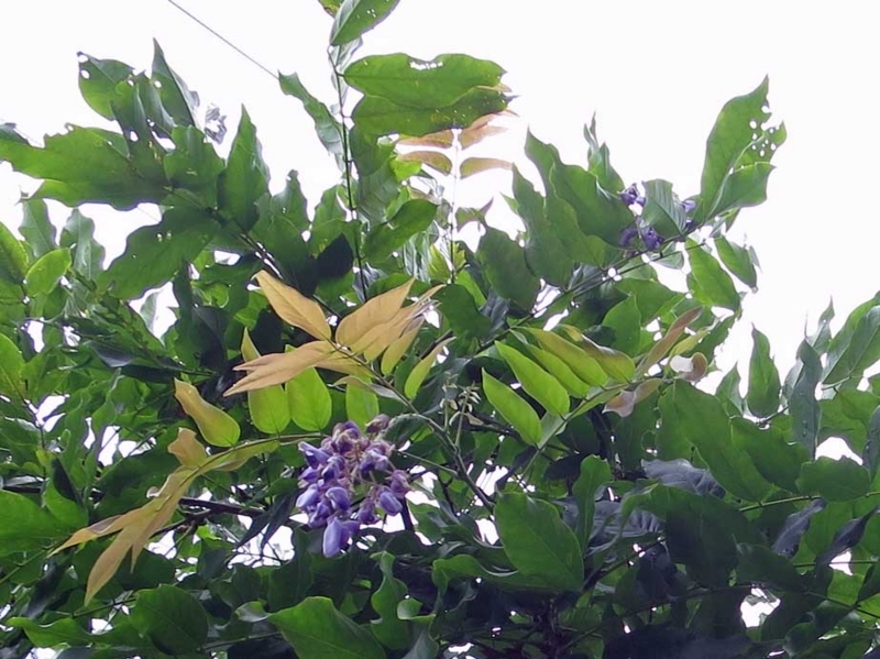 f:id:atarou:20180823064330j:image f:id:atarou:20180823064330j:image