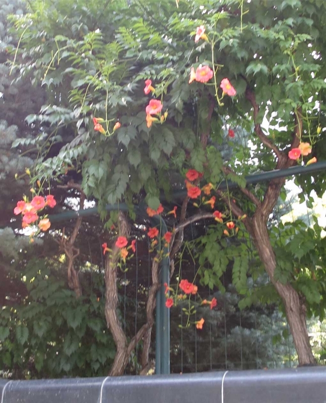 f:id:atarou:20180824064849j:image f:id:atarou:20180824064849j:image