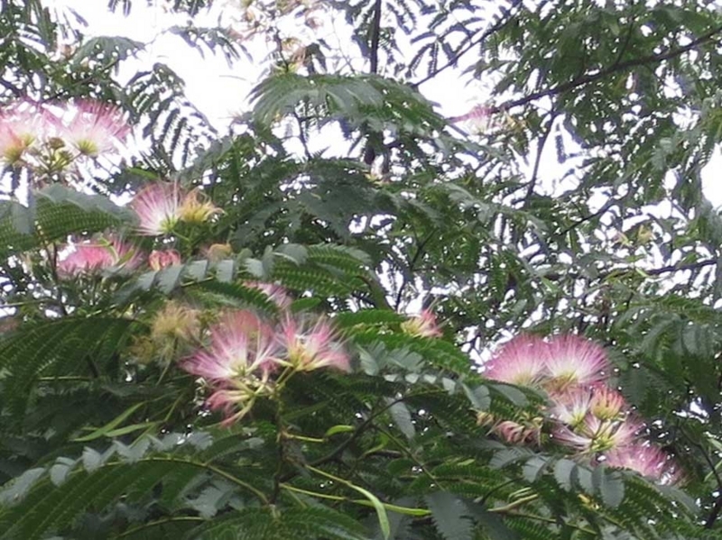 f:id:atarou:20180828065934j:image
