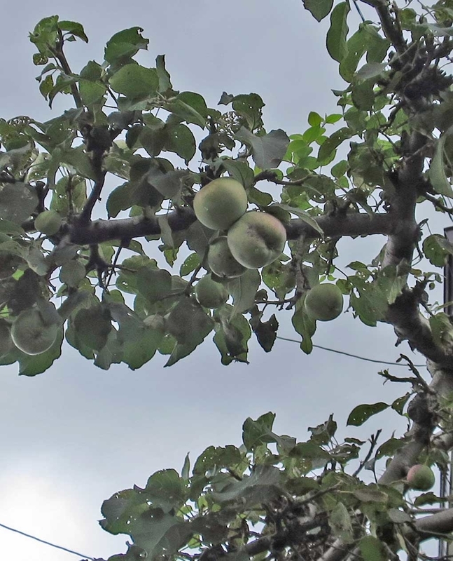 f:id:atarou:20180901070329j:image