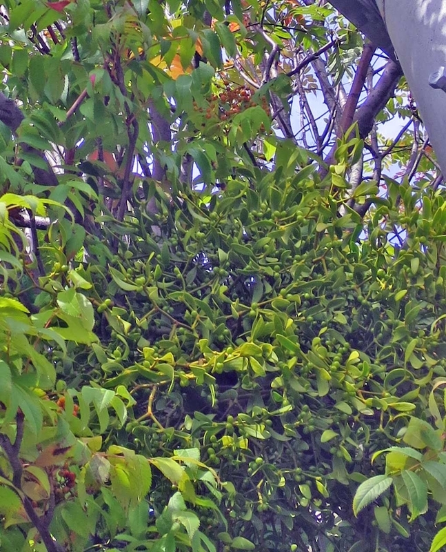 f:id:atarou:20180903064357j:image