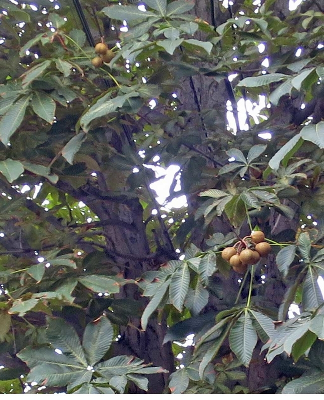 f:id:atarou:20180904064031j:image f:id:atarou:20180904064031j:image