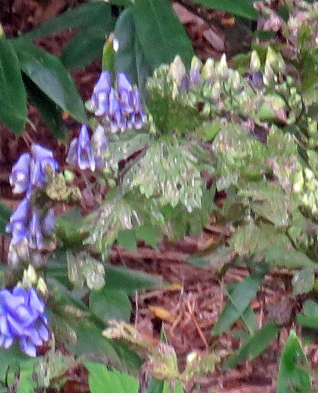 f:id:atarou:20180904070048j:image f:id:atarou:20180904070048j:image