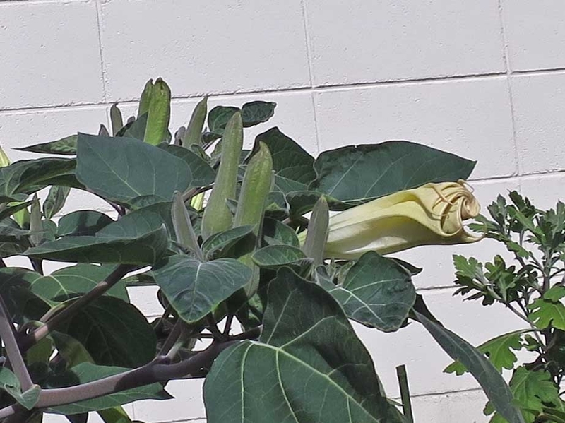 f:id:atarou:20180905153649j:image f:id:atarou:20180905153649j:image