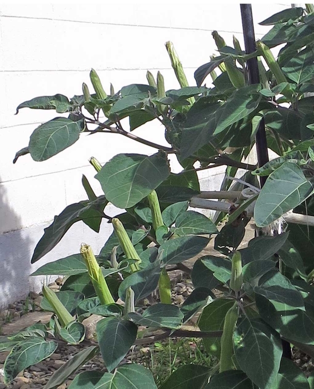 f:id:atarou:20180905153651j:image f:id:atarou:20180905153651j:image
