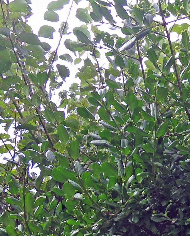 f:id:atarou:20180905155453j:image f:id:atarou:20180905155453j:image