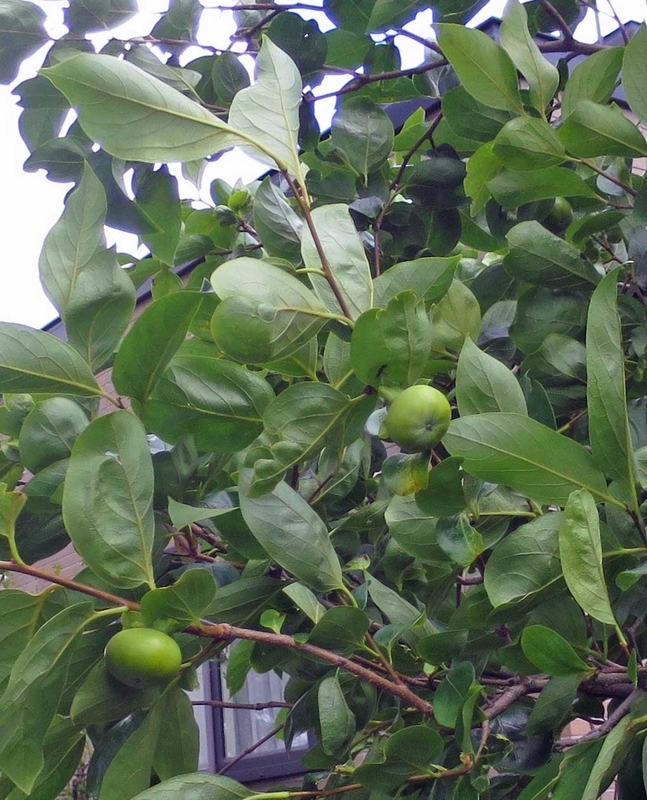 f:id:atarou:20180908062402j:image