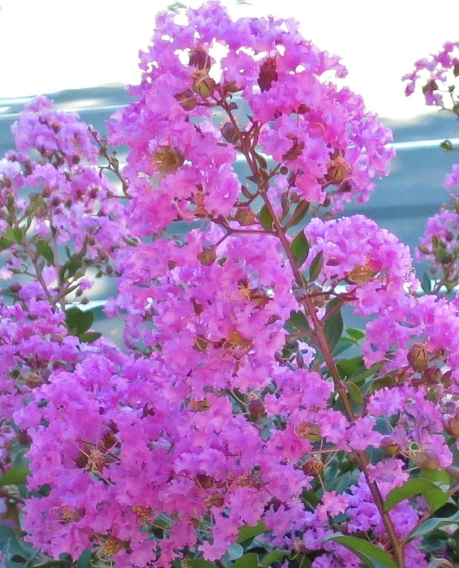 f:id:atarou:20180912064850j:image