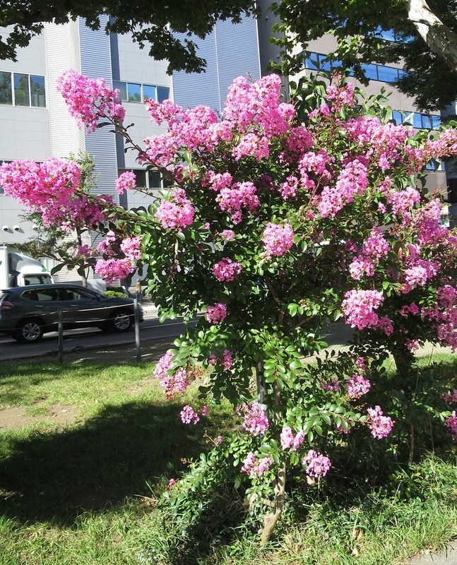 f:id:atarou:20180912064855j:image