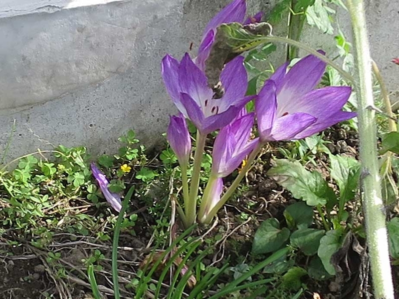 f:id:atarou:20180913064723j:image