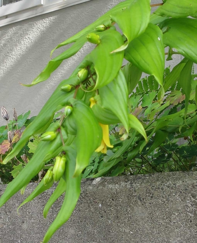 f:id:atarou:20180914064800j:image