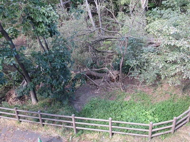 f:id:atarou:20180919065013j:image