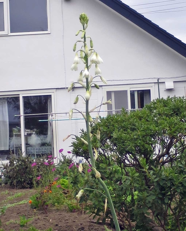 f:id:atarou:20180923063945j:image