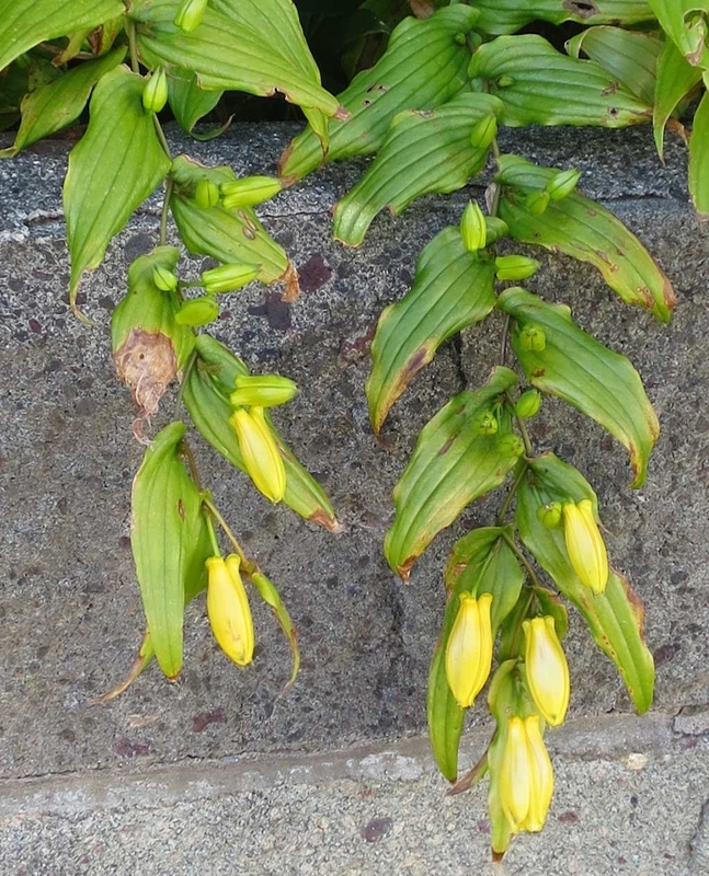 f:id:atarou:20180924070403j:image
