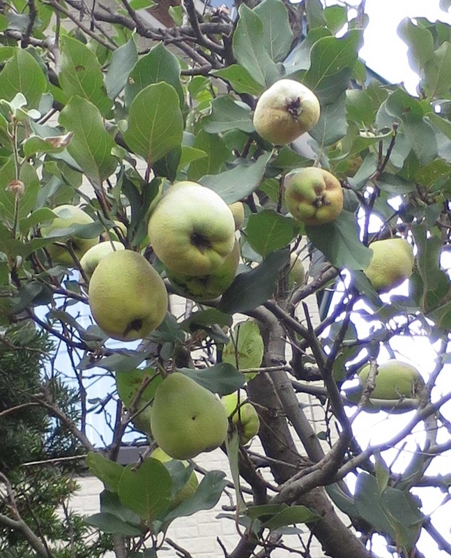 f:id:atarou:20180928062407j:image