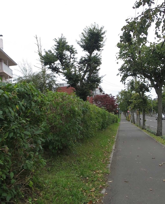 f:id:atarou:20180928062410j:image