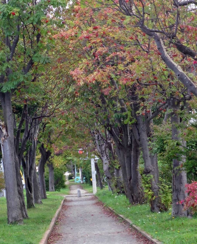 f:id:atarou:20180930061741j:image