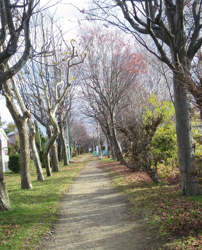 f:id:atarou:20181118063656j:image