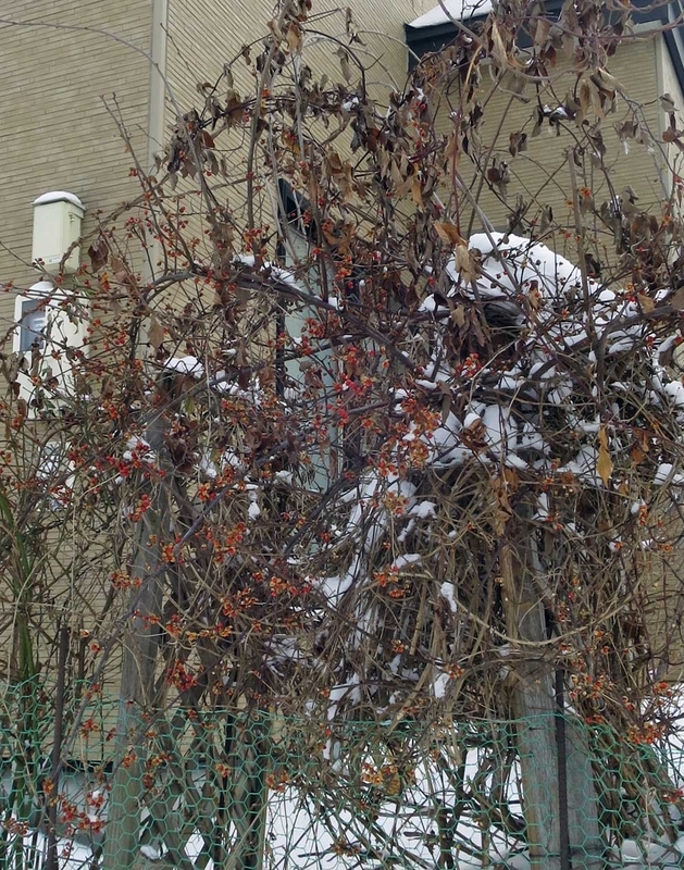 f:id:atarou:20190101064910j:image f:id:atarou:20190101064910j:image