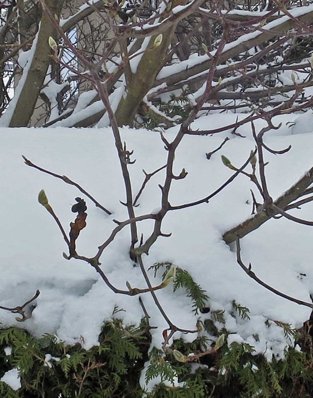 f:id:atarou:20190101065618j:image f:id:atarou:20190101065618j:image
